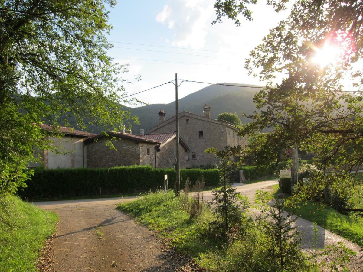 Mas El Llach La Vall de Bianya Εξωτερικό φωτογραφία